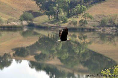 Alisal Guest Ranch & Resort โซลแวง ภายนอก รูปภาพ